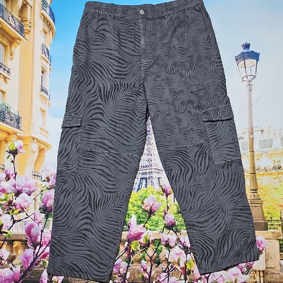 Pilcro Zebra Print Cargo Capri Pants Size 30 - Picture 2 of 5